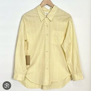 Wilfred Aritzia Relaxed Bailey Pear Yellow White Stripe Shirt